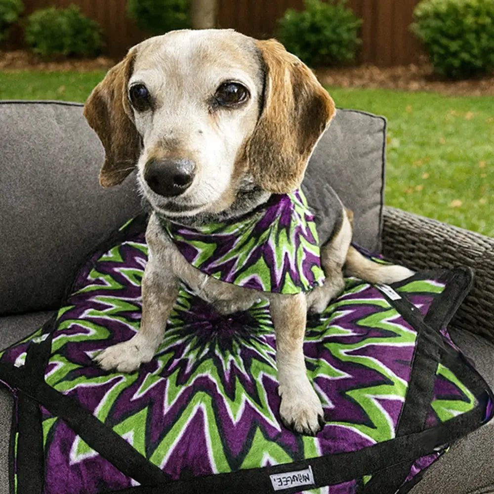 Mougee Pet Bandana - Match Your Favorite Flow Star Designs with Pet! - Apparel