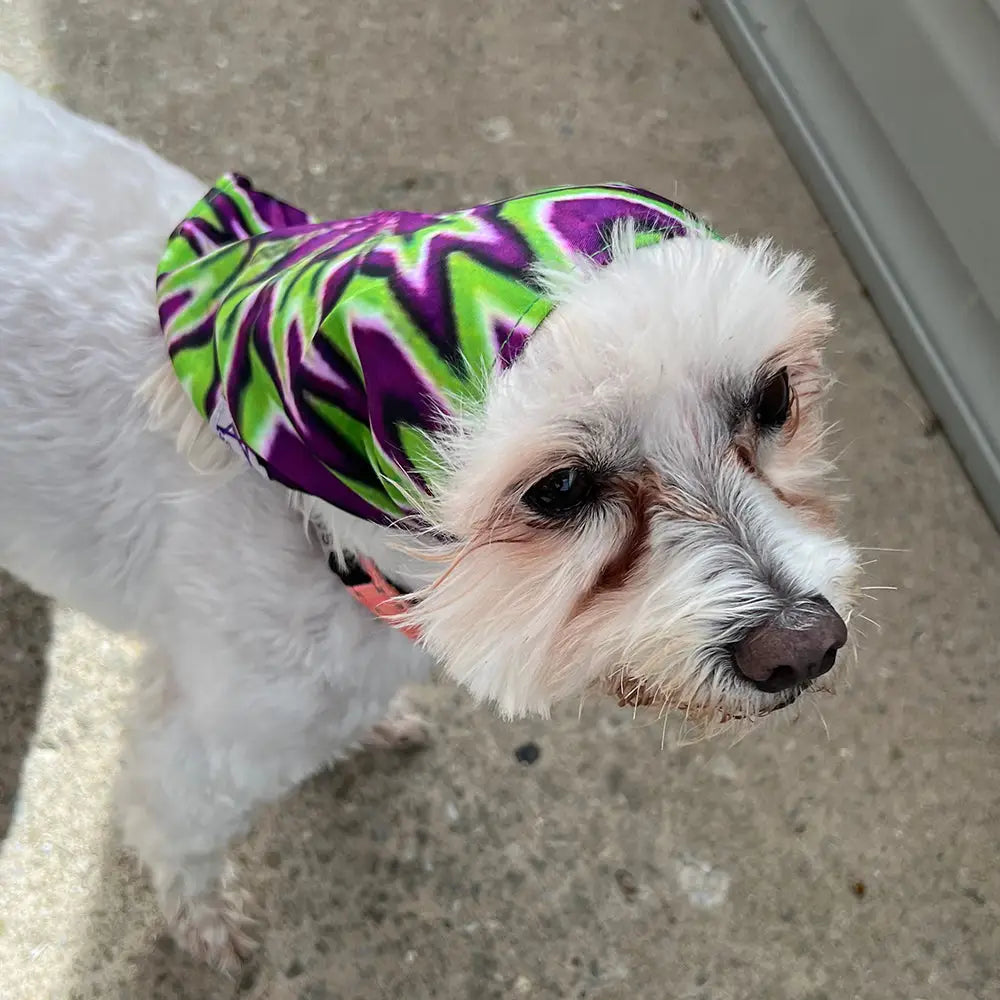 Mougee Pet Bandana - Match Your Favorite Flow Star Designs with Pet! - Apparel