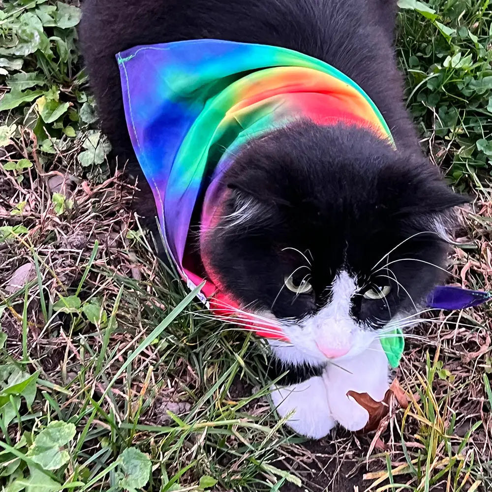 Mougee Pet Bandana - Match Your Favorite Flow Star Designs with Pet! - Apparel