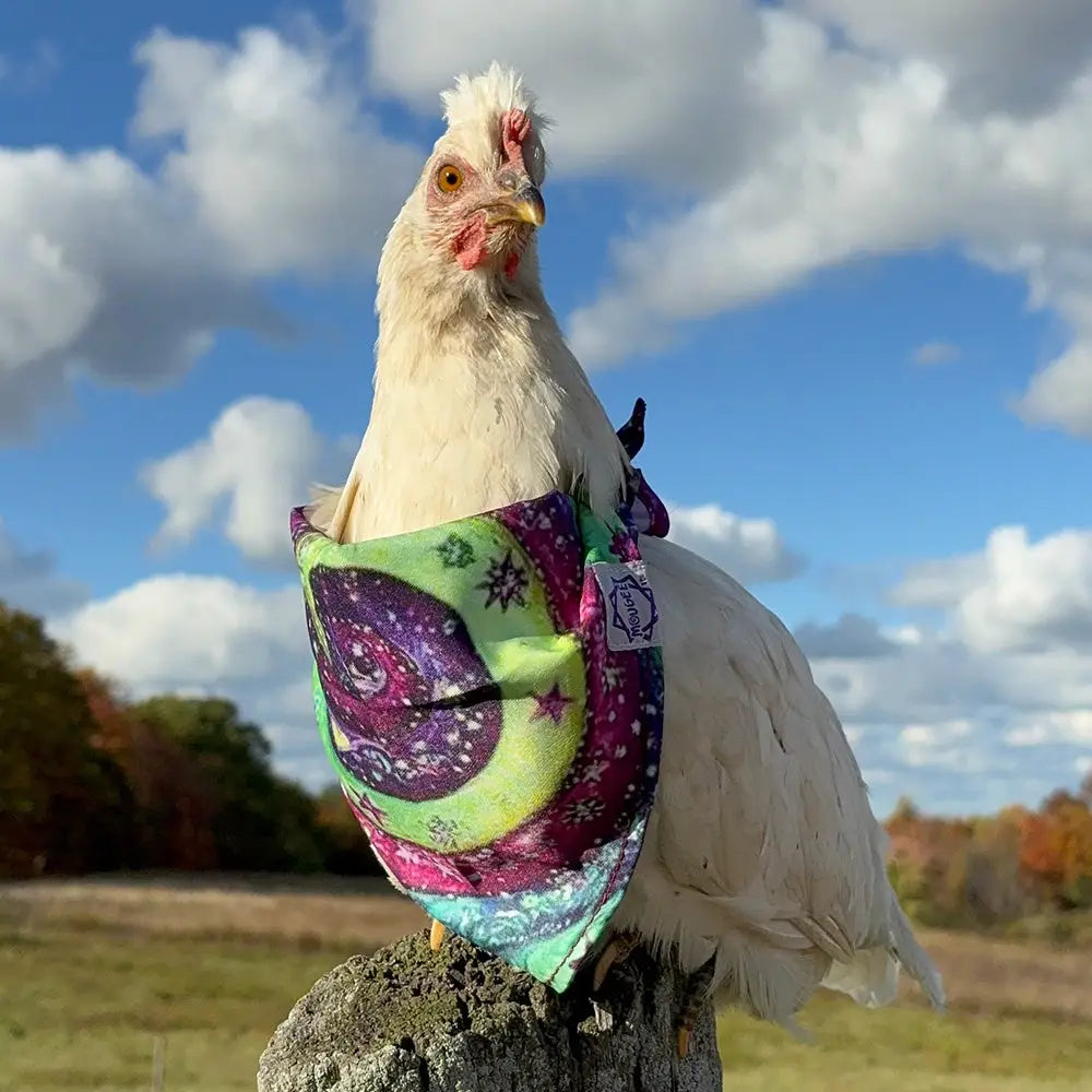 Mougee Pet Bandana - Match Your Favorite Flow Star Designs with Pet! - Apparel