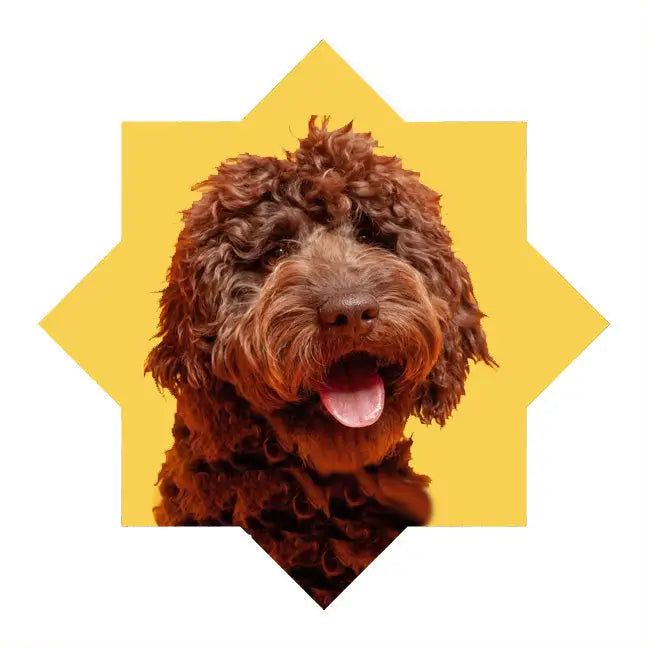 Custom Design Mougee Star - flow star