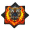 Fireborn