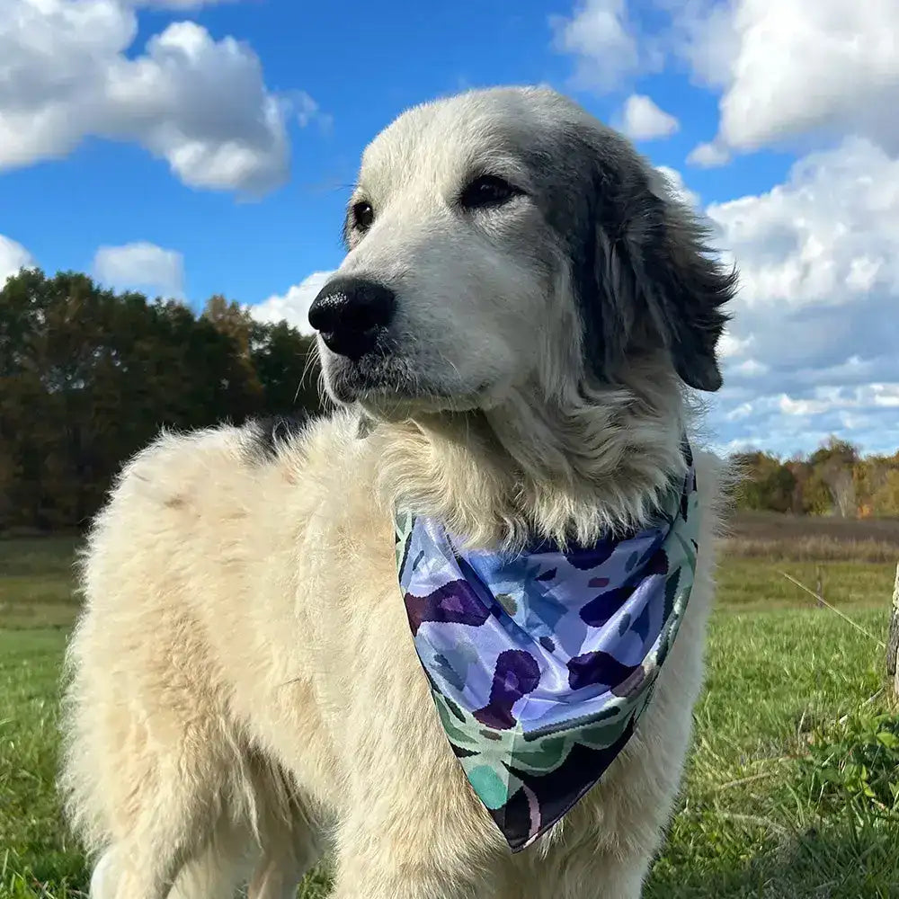 Mougee Pet Bandana - Match Your Favorite Flow Star Designs with Pet! - Apparel